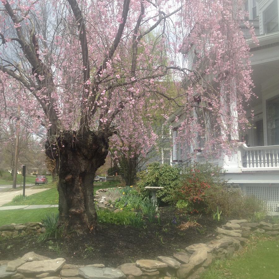 Victorian Charm Inn Towanda Εξωτερικό φωτογραφία
